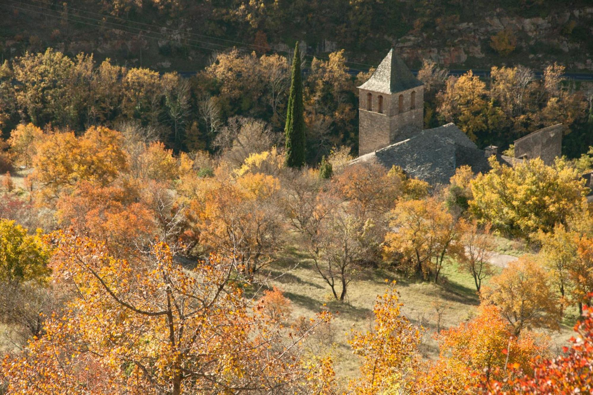 Le Colombier Saint-Veran La Roque-Sainte-Marguerite Exterior foto