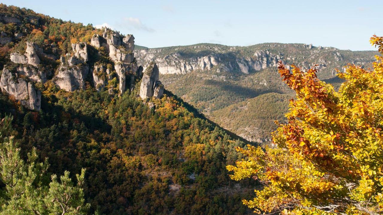 Le Colombier Saint-Veran La Roque-Sainte-Marguerite Exterior foto